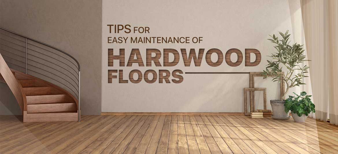 Hardwood Floors 101: Essential Maintenance Tips and Tricks