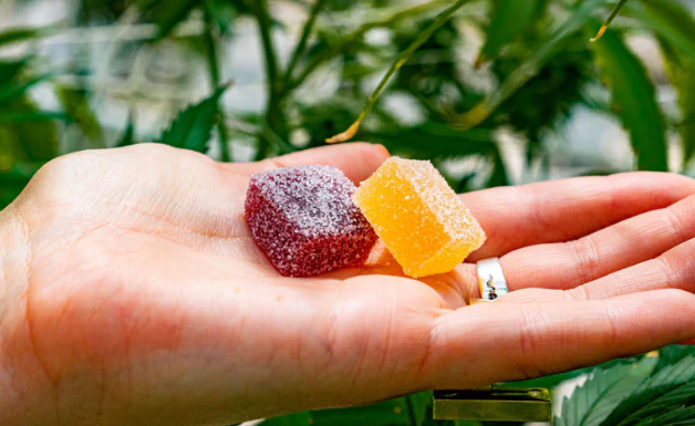 What Are CBD Gummies and Their Benefits for Health and Wellness