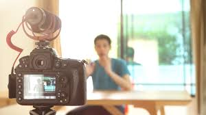 The Rise of Influencer Fame and Online Profit